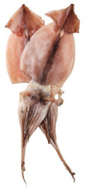 야들야들 쫄깃한 해풍에 말린 반건조 오징어 피데기 원양산 국내가공, 4개, 850g 내외