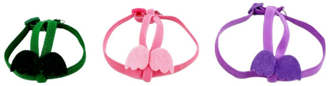 앵무새 신축성 날개 하네스 + 리드줄 세트, S