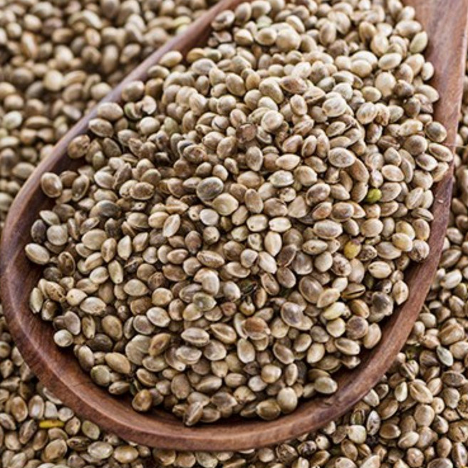 맛봉달 25년산 생들깨 통들깨 흑들깨 국내산, 10kg 마대포장, 1개