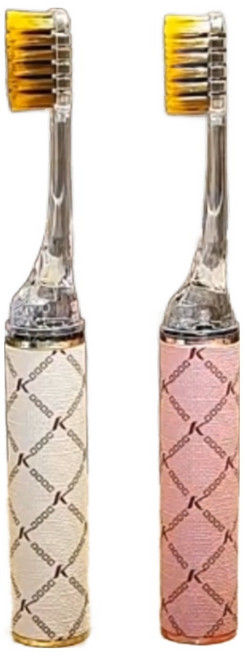 조은살림 수납케이스가 있는 프리미엄 접이식 칫솔 1+1 추가브러쉬 증정, 1개, 1ml