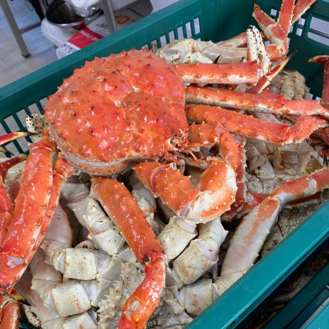 [몽땅농수산] 동해직송 최상급 러시아 킹크랩자숙 시세 레드 블루 최고수율보장, 1개, 최상급 러시아 킹크랩 3kg