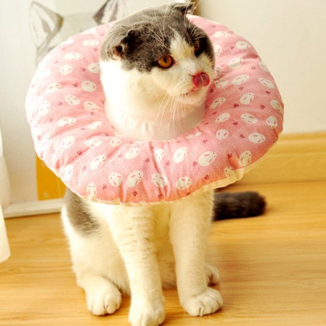 [켈리] 고양이 강아지 중성화수술 상처보호 쿠션넥카라, 핑크토끼, 1개