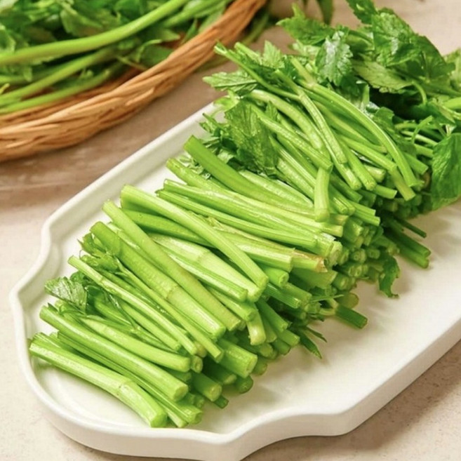 올바른농수산 당일수확 국내산 청정 미나리, 1박스, 1kg