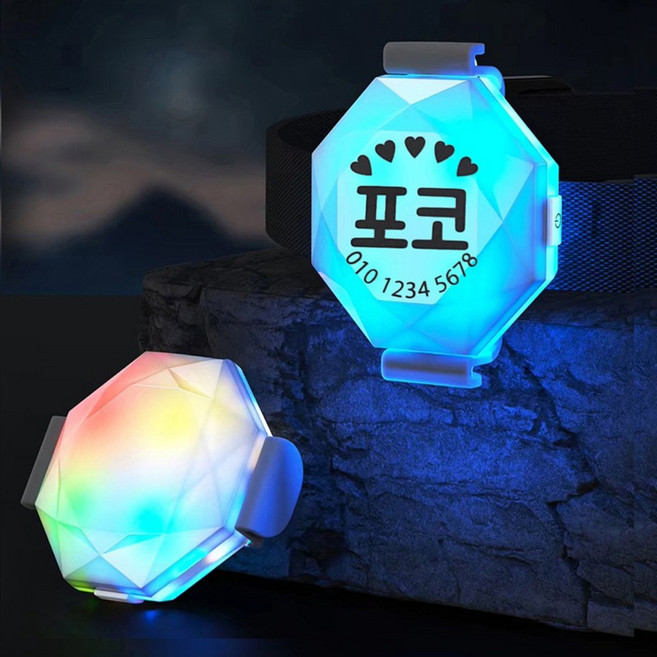 [앤디스크래프츠] 반려견 LED 야간산책등, 세로인쇄