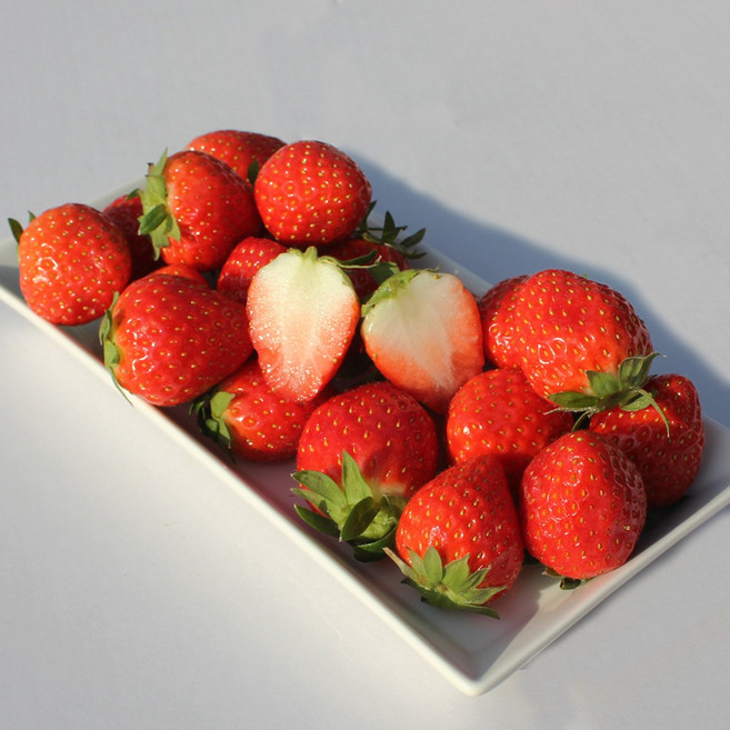 하동 옥종농협 딸기 1kg 2kg, 1박스, 1kg(상)