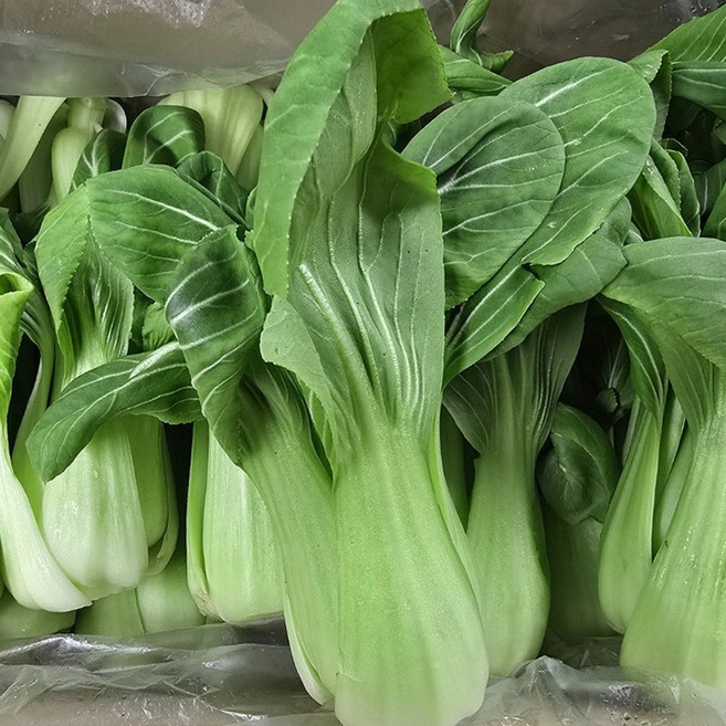[ 정담상회 ] 국내산 청경채 2kg 4kg 8kg 내외 마라탕 샤브샤브 동파육 용, 1박스