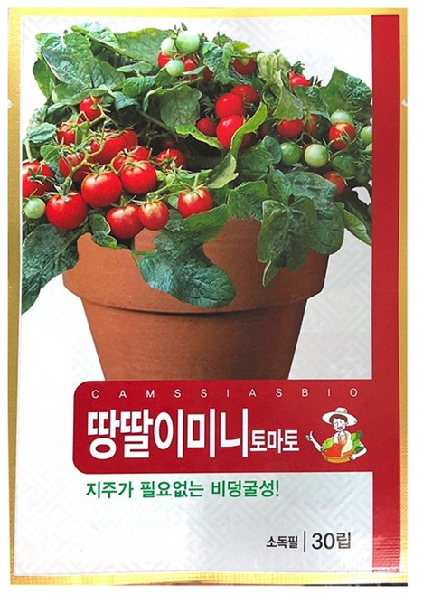 땅딸이미니토마토 씨앗, 1개