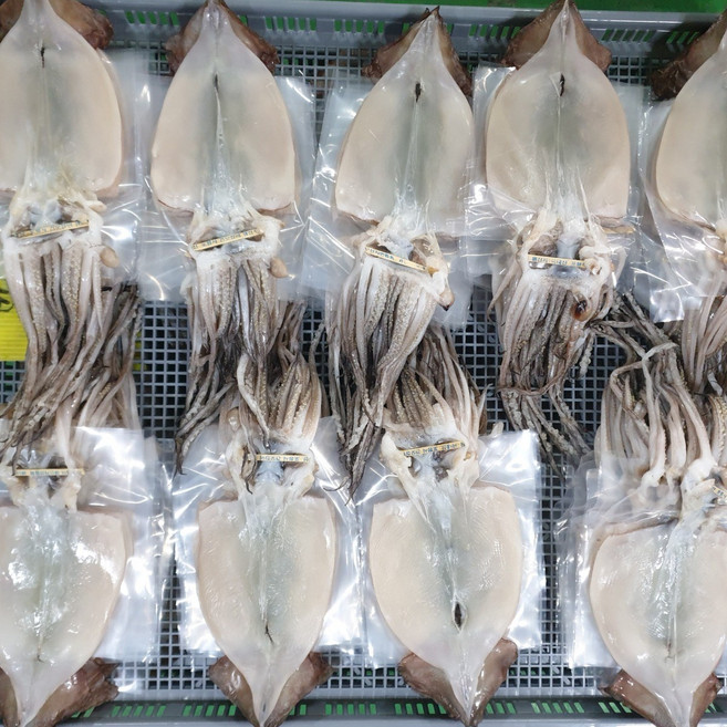 품절임박 촉촉한 포항산 반건조오징어 특품, 1개, 10미 700g