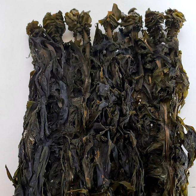 섬마을진도 동거차도 산모용 미역귀 달린 자연건조 돌미역 (길이1m), 2개, 500g
