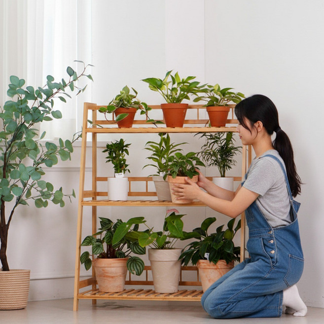 친절한마이쮸 3단 원목 화분선반 식물 거치대 진열대 정리대, 기본형