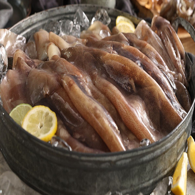 [싱싱88] 홈쇼핑 입점 손질 통통 오징어 10미, 10개, 110g