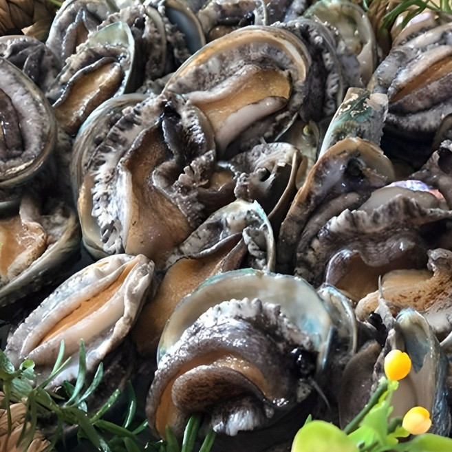 해신수산* 완도활전복 라면전복 40-70미 1kg 산지직송(명절전 오전9시 당일출고), 1개