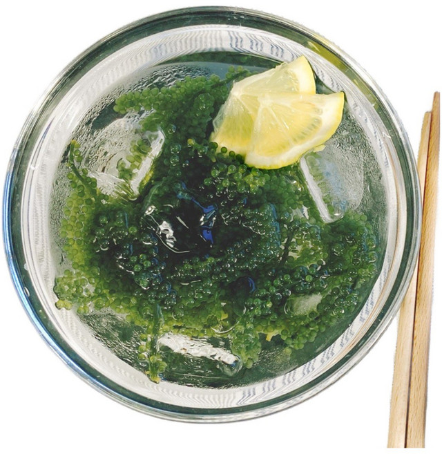 피터씨마켓 바다포도, 100g, 10개