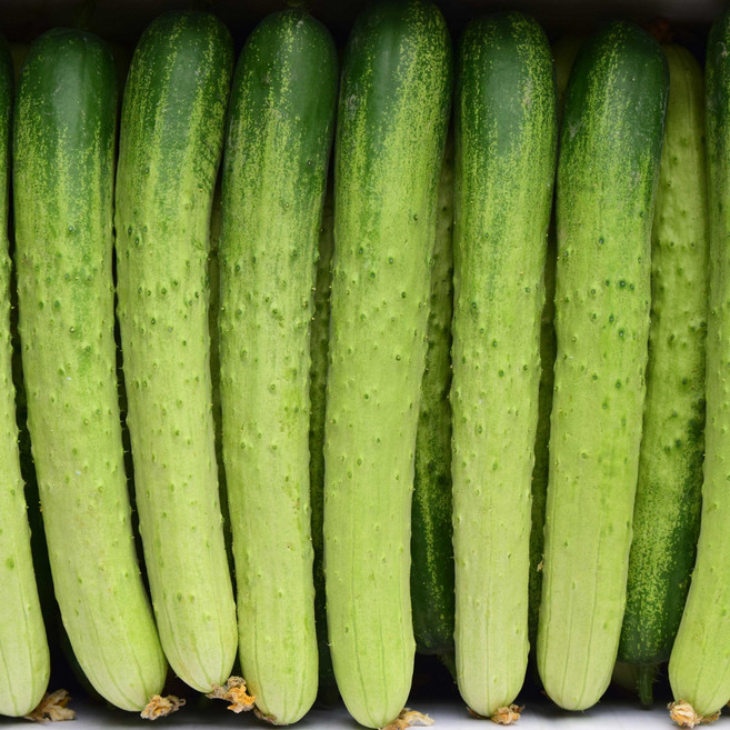 아삭아삭 국내산 백오이 못난이 특, 1개, 10kg(못난이)