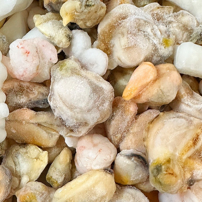 [굿챈스] 프리미엄 냉동 해물모듬 6종 해물믹스 모둠, 2개, 1kg