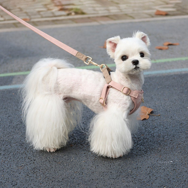 왕왕왕성 강아지 하네스 5종 세트 선물포장, 핑크, 1세트