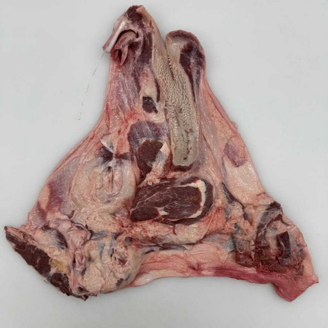 한우 생소머리(암소머리 머리뼈포함), 1개, 7.5kg