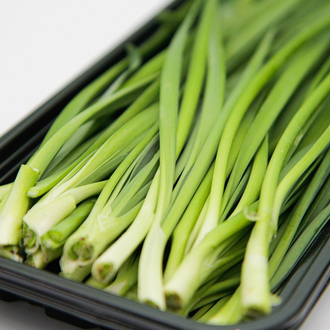 푸레아 국내산 특품 두메부추 1팩 150g, 두메부추 1팩(150g)