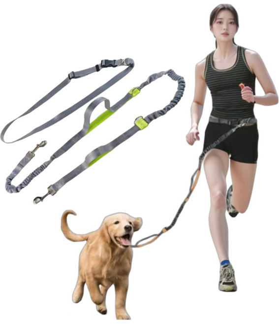 와글토이 강아지 리드줄 핸즈프리 길이조절 목줄, 1개, 프레쉬그린