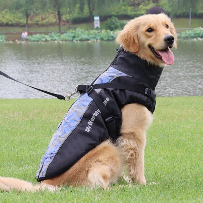 위즈아이 WI066DG 강아지 빅사이즈 하네스 패딩조끼, 1개, 그레이블루