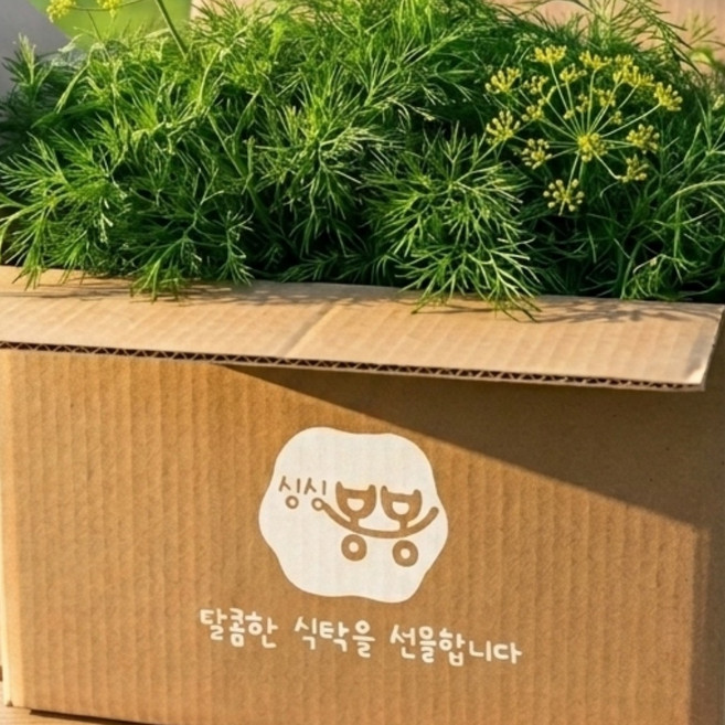 딜 생잎 특품 싱싱봉봉 Dill Dillweed 생잎 허브딜생잎 레몬딜 레몬딜버터 대용량 소용량 국내산 국내재배 산지 직송 Rau thi la, 1개, 100g