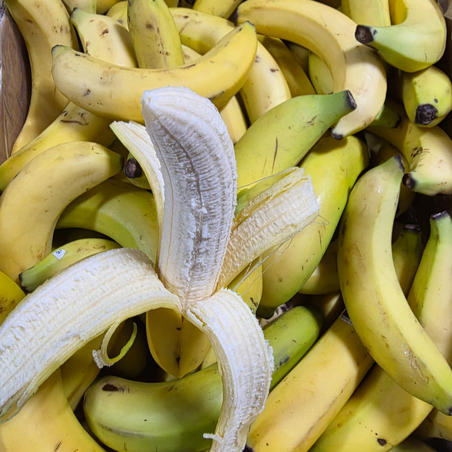 실속형 고당도 낱발 바나나 고당도 낱발 바나나낱개 바나나 10kg, 1박스