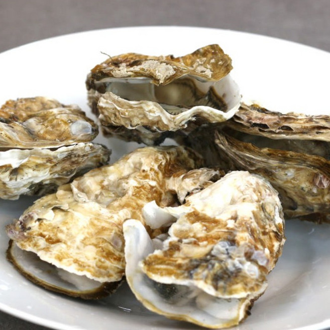 통영 사계절 삼배체굴 통굴/반손질하프셀 1kg [원산지:국산(경상남도 통영시)], 1세트, 삼배체 반손질 하프셀 1kg