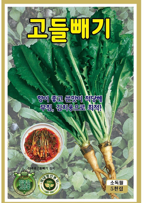 식물의집 고들빼기 씨앗 고들빼기 씨 민속채소씨앗 씨, 1개