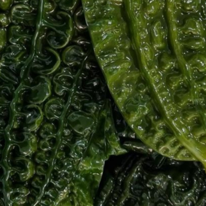 [삼화해조류] 완도 곰피 쇠미역 10kg, 1개