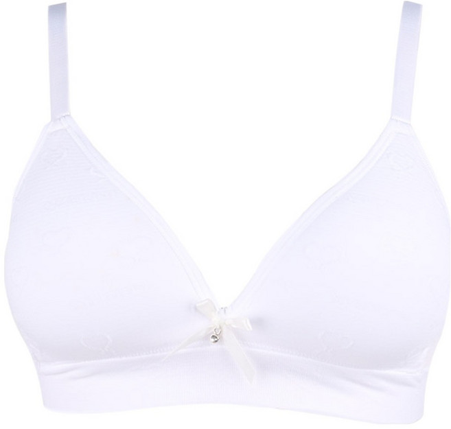 르브니 주니어 브라 3단계 중고등 여학생 노와이어 브라 CW나나