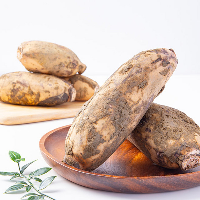 [더조은푸드] 신선한 국내산 흙 연근 (실속형) 연근채 / 말린연근 / 생연근, 1개, 연근 (실속형) 4kg