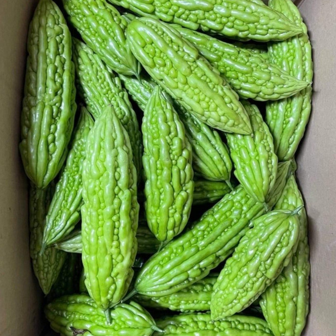 국내재배여주 베트남 여주 동남아시아야채 생 여주 입니다, 500g, 1개