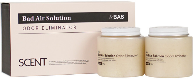 BAS 바스 초강력 생활 실내 탈취제 차량용 고체타입 센트 비누향 세트, 2개, 180g