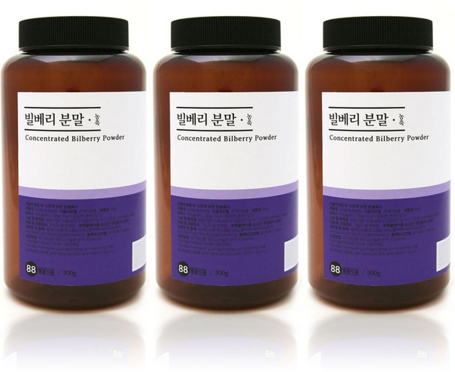 내몸생각 빌베리 대용량 300g 가루 분말 파우더 BILBERRY 2통 구매시1통 추가증정, 1개