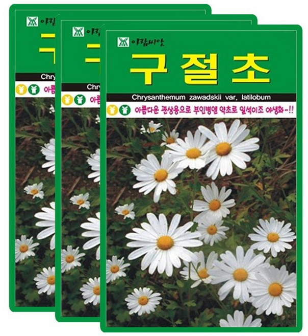 산들마켓 구절초 씨앗 1000립 구절초 꽃씨 야생화 3개+랜덤 씨앗 1개 증정