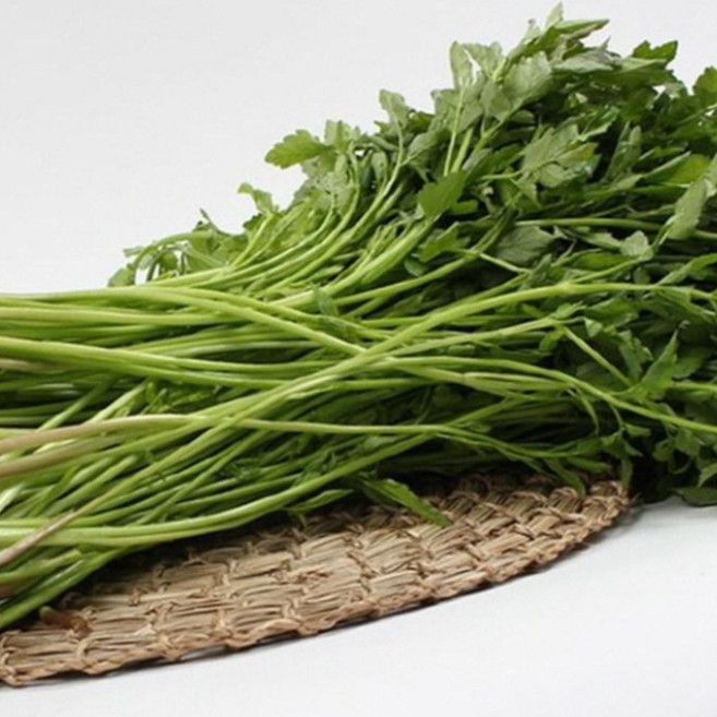 명품 [한재미나리] 청도 특산물 싱싱하게 산지에서 직접 발송합니다, 1박스, 500g