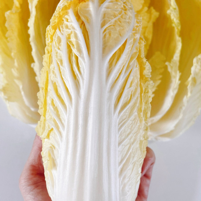 < 바른농산 > 국내산 알배기 배추 상등급 알배추 쌈배추 (300~500g), 500g, 3개