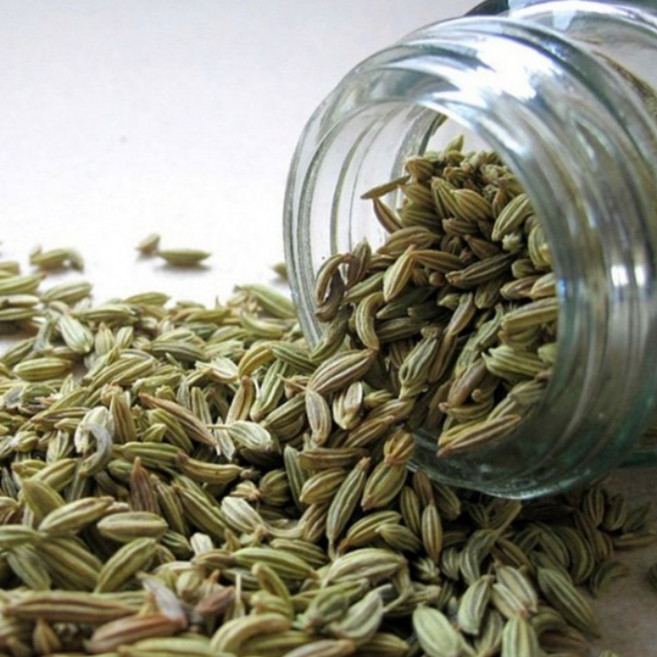 바른건강 고대시절부터 재배된 고단백식품 산미나리씨앗 대회향 회향 펜넬, 500g, 1개