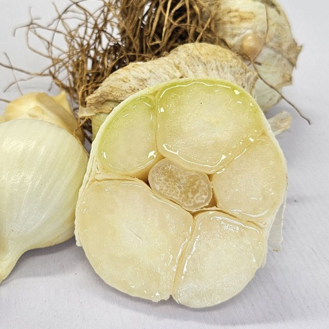 8위 - 코끼리마늘 햇마늘 2kg (크기골고루) 해남햇마늘재배 생산자 산지직송, 1개