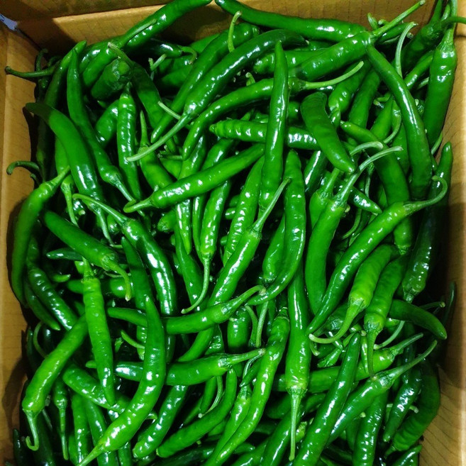 클릭마켓 국내산 청양고추, c청양고추 2kg, 1개
