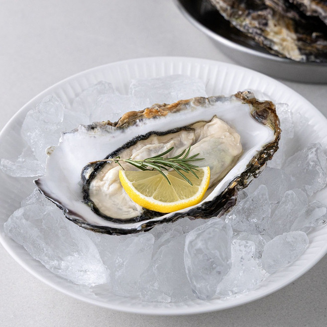 GXP 통영 삼배체 굴 (대왕굴) 산지직송 2kg 3kg 5kg, 1박스