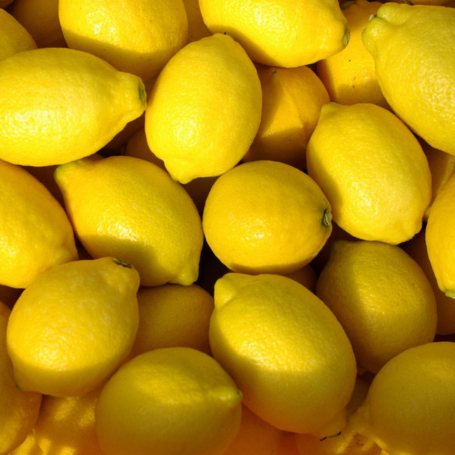 제주레몬5kg, 1개, 5kg