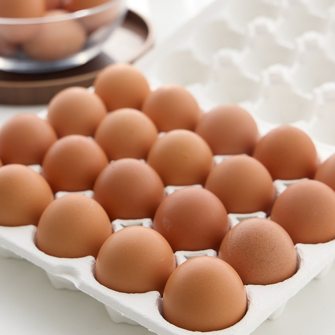 슬로우에그 난각번호 1번 비타민 가득유정란, 1개, 20구