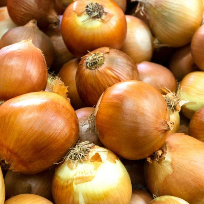 국내산 잘말려 단단한 무안 햇 양파 3kg 5Kg 10Kg 소중 혼합 /중대 혼합/ 특, 1개, 5kg 중대 혼합
