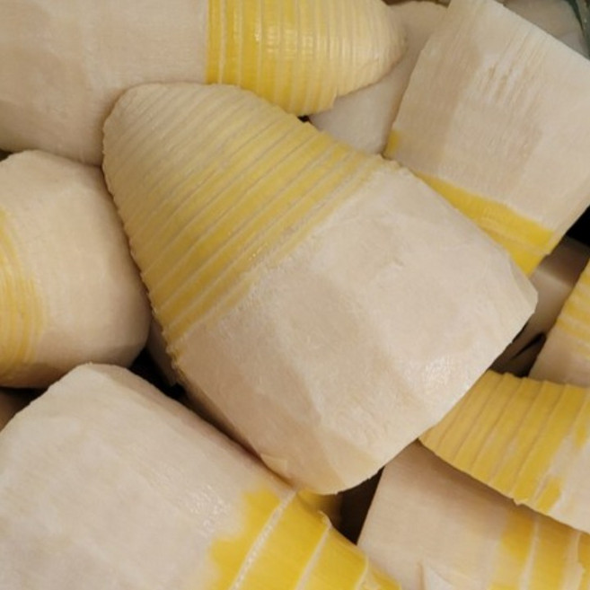 26년 햇 죽순 거제 맹종죽 냉장포장, 2개, 500g