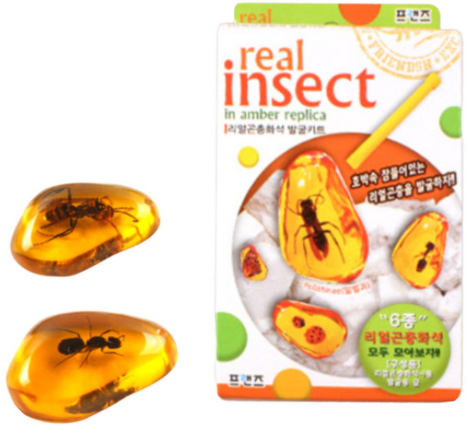 초등 과학 교육용 완구 호박화석 곤충화석 발굴체험 키트 교구, 1개