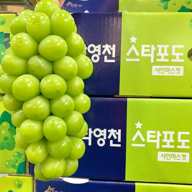 [재구매1등]허니삼구 당도선별 고당도 특품 샤인머스켓, 특품2kg(2~3송이), 1박스