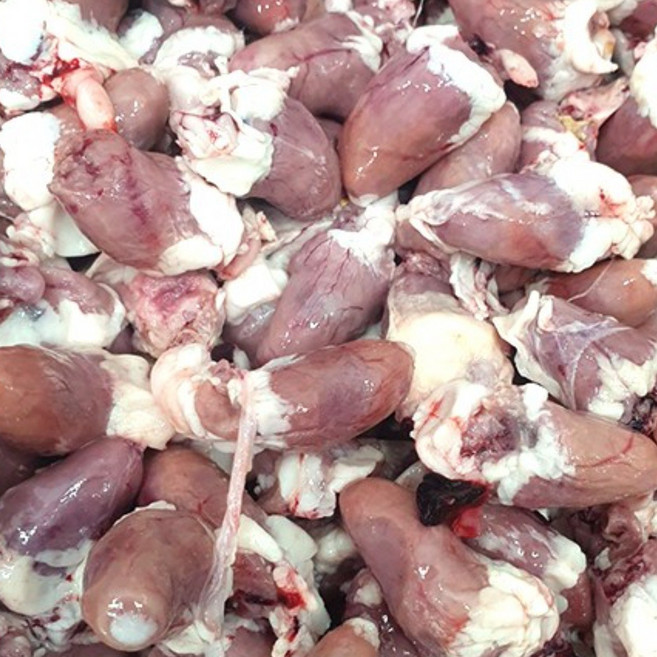 국내산 무염 닭염통 1KG 소포장판매, 5개