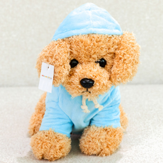 네이처타임즈 부들푸들 후드 강아지 인형 + 강아지 키링 랜덤발송, 20cm, 블루, 1세트