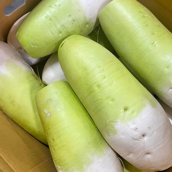 (당일경매) (당일출고) 아삭하고 달큰한 국내산 무 5kg 10kg 20kg 1박스 (최상급) (제주산), 1개